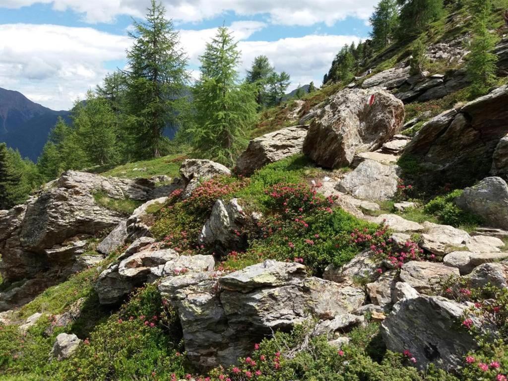 Rudigier Margret Und Franz Leilighet Sankt Gallenkirch Eksteriør bilde